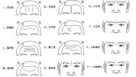 川字紋面相|【面相】臉上最重要的幾條紋（一）